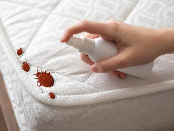 Best Organic or Eco-Friendly Pest Control  in Swedesboro, NJ